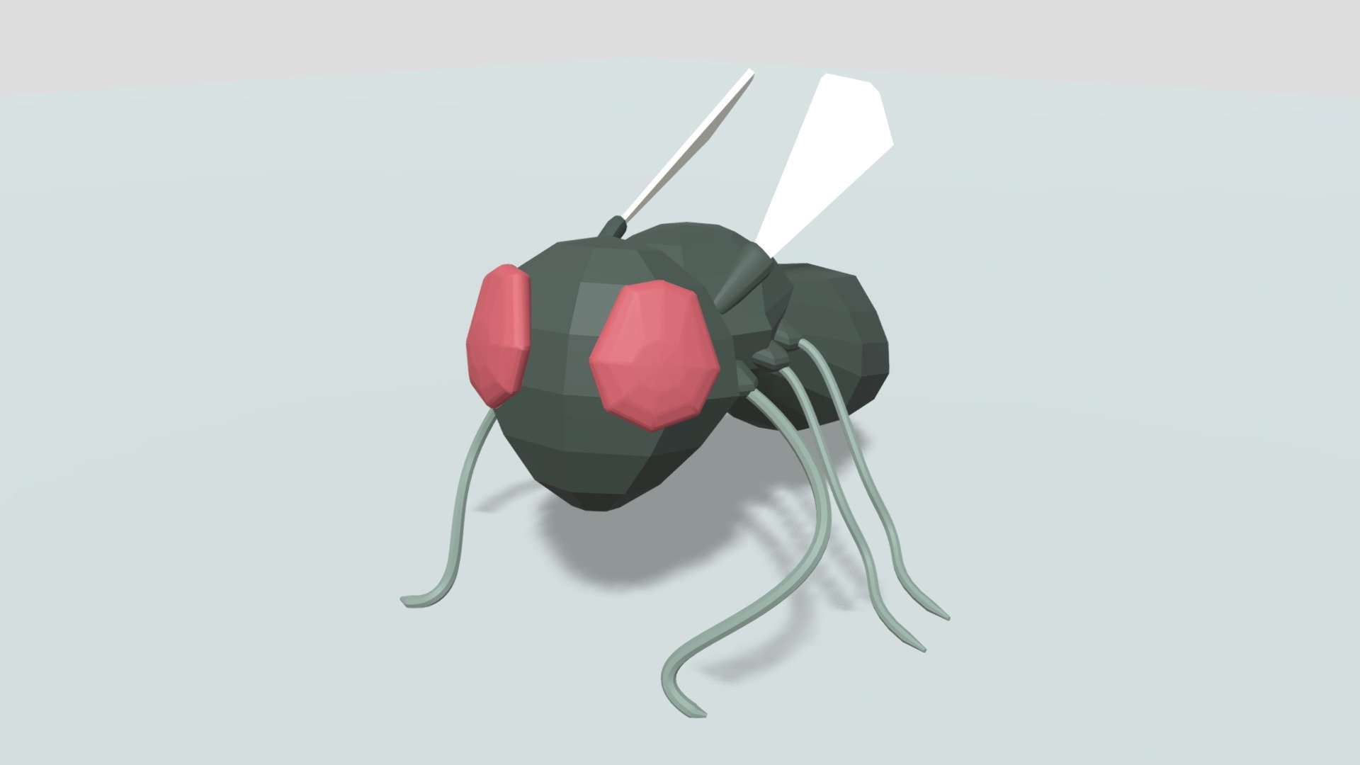 Fly Model