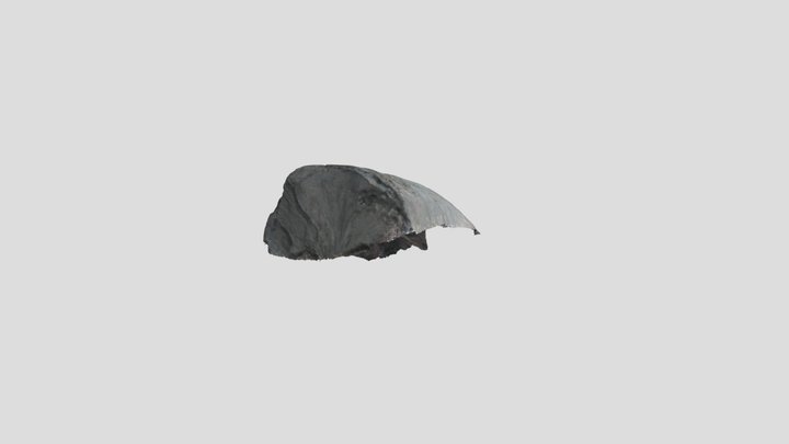 Brière 2021 - OA187063 | M.OG | S-1323 | 00082 3D Model