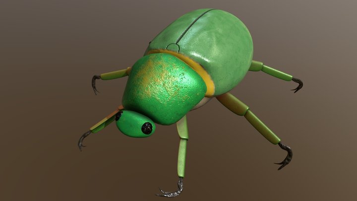 Green Bug - Beetle 3D Model