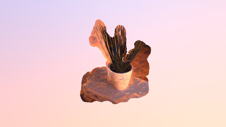 a plant 3D Model