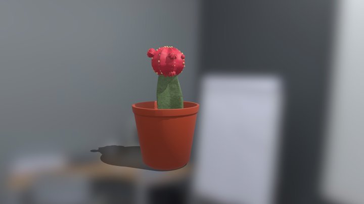 Moon Cactus 3D Model