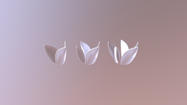 Leaves Amount 3 Different 3D Model