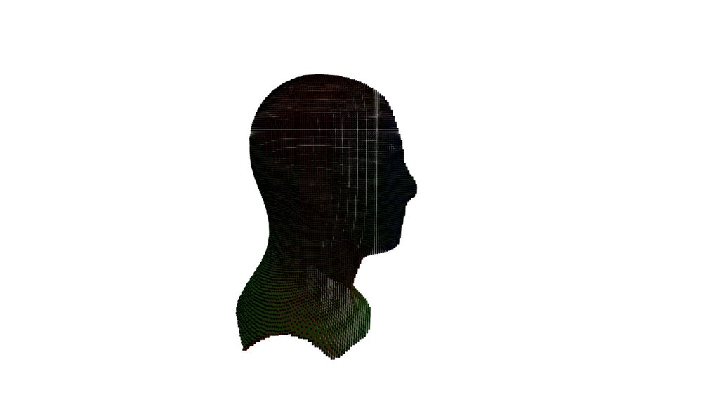 Human - Head - Cubes - Illusion