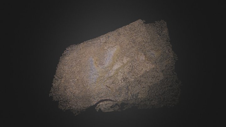 option-0000 3D Model