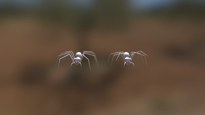 Spiders 3D Model