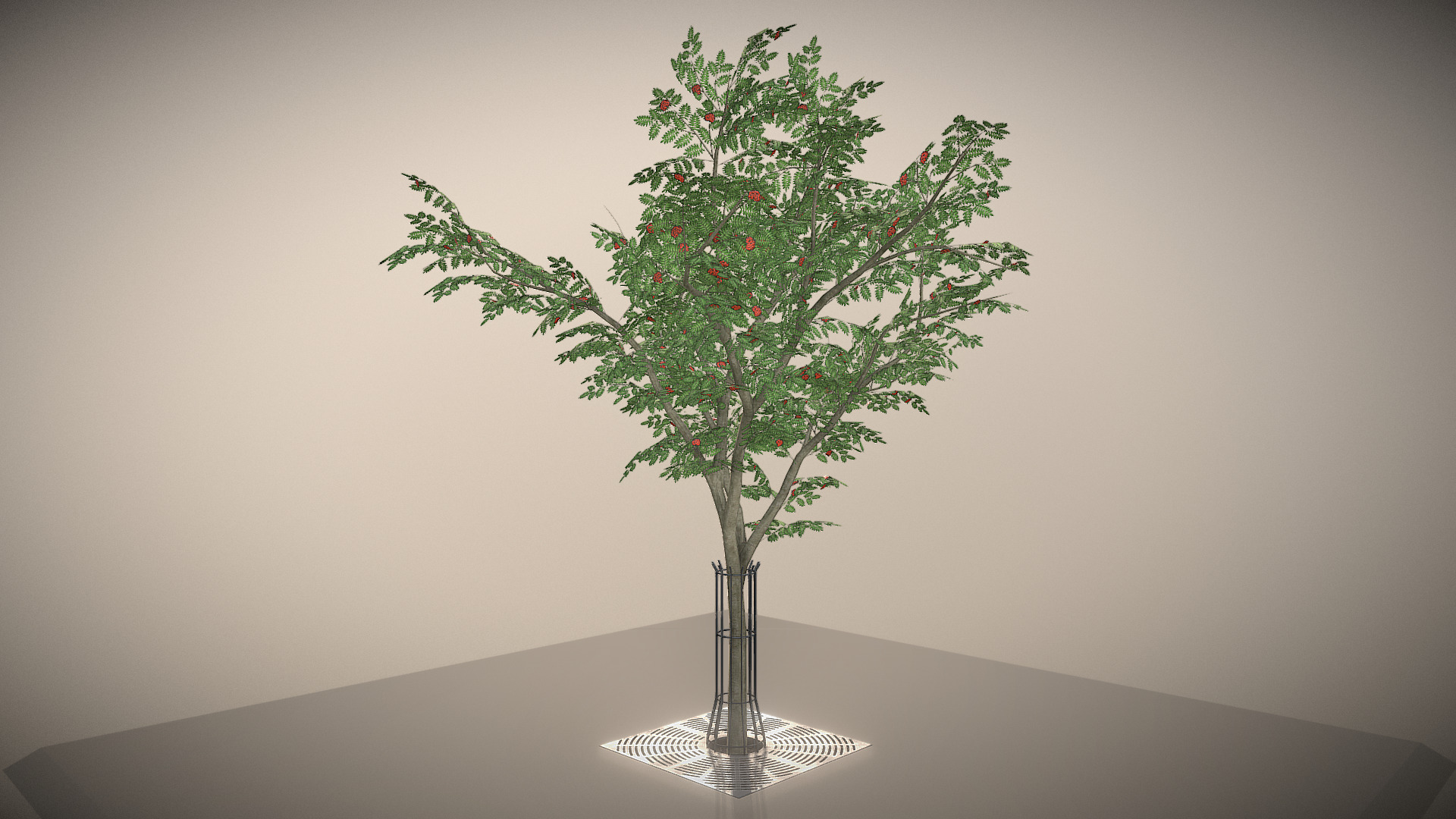 3D model Rowan with Tree Guards and Tree Grille - This is a 3D model of the Rowan with Tree Guards and Tree Grille. The 3D model is about a small tree in a glass vase.