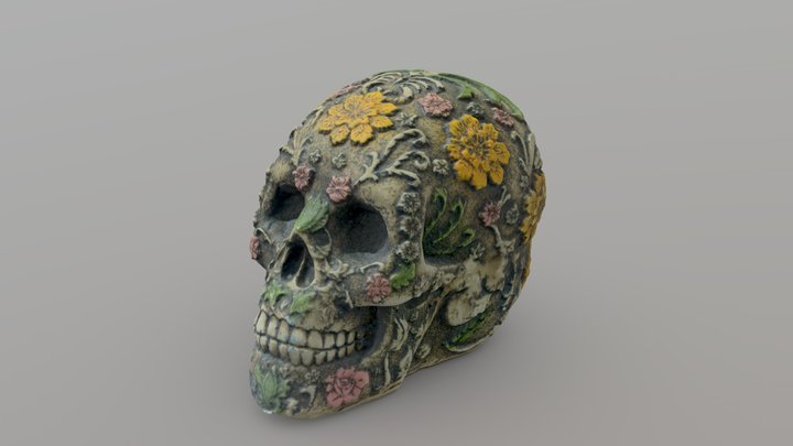 skull hq 3D Model