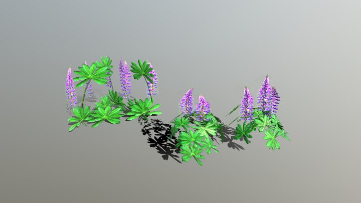 Люпин (Lupine) 3D Model