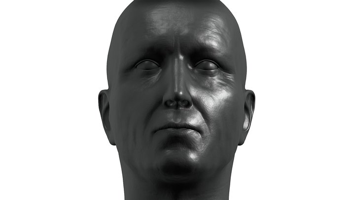 Two Months of Sculpting Progress 3D Model