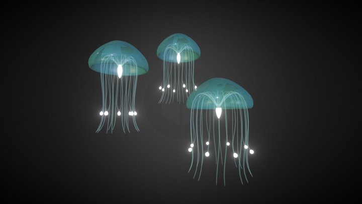 Jellyfishes 3D Model