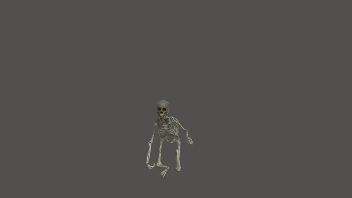 Running skeleton 3D Model