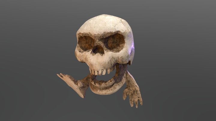 High-res REPO Banger Skull 3D Model