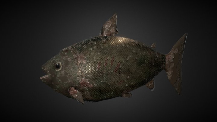 Rotten Fish 3D model 3D Model