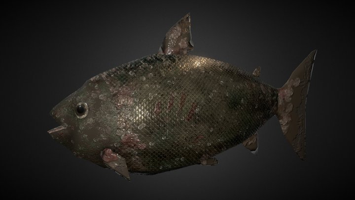 Rotten Fish 3D model 3D Model