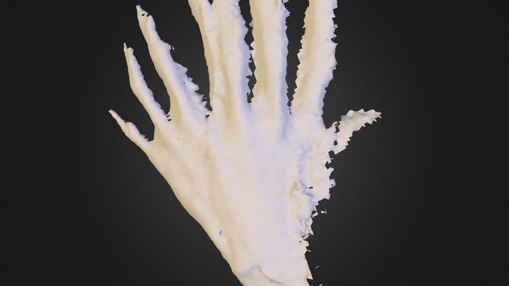 Structure Sensor - test scan 12 - Glitchy Hand 3D Model