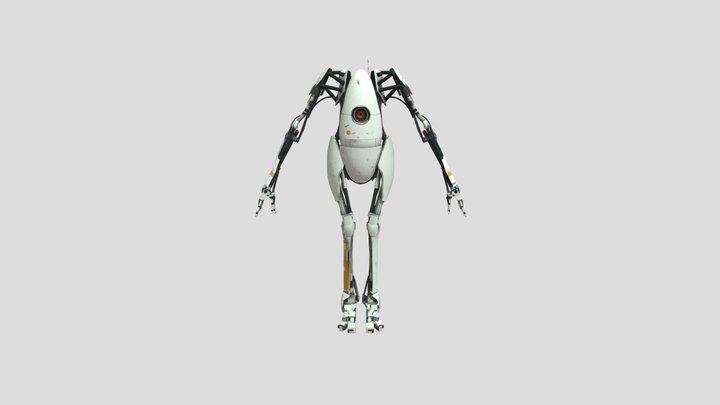 P-body 3D Model
