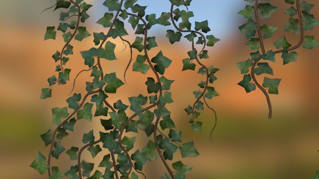 Ivy Foliage 3D Model
