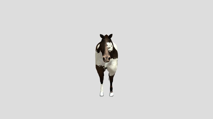 Nova Horse_LOD5 3D Model