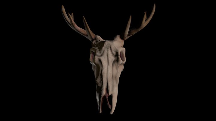 Deer Skull Mask - Hero Asset 3D Model