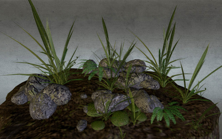 Rocks and Plants 3D Model