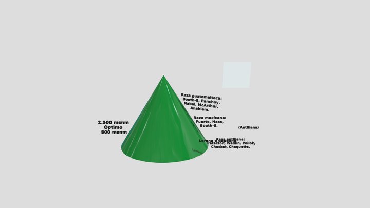 aguacate 3D Model