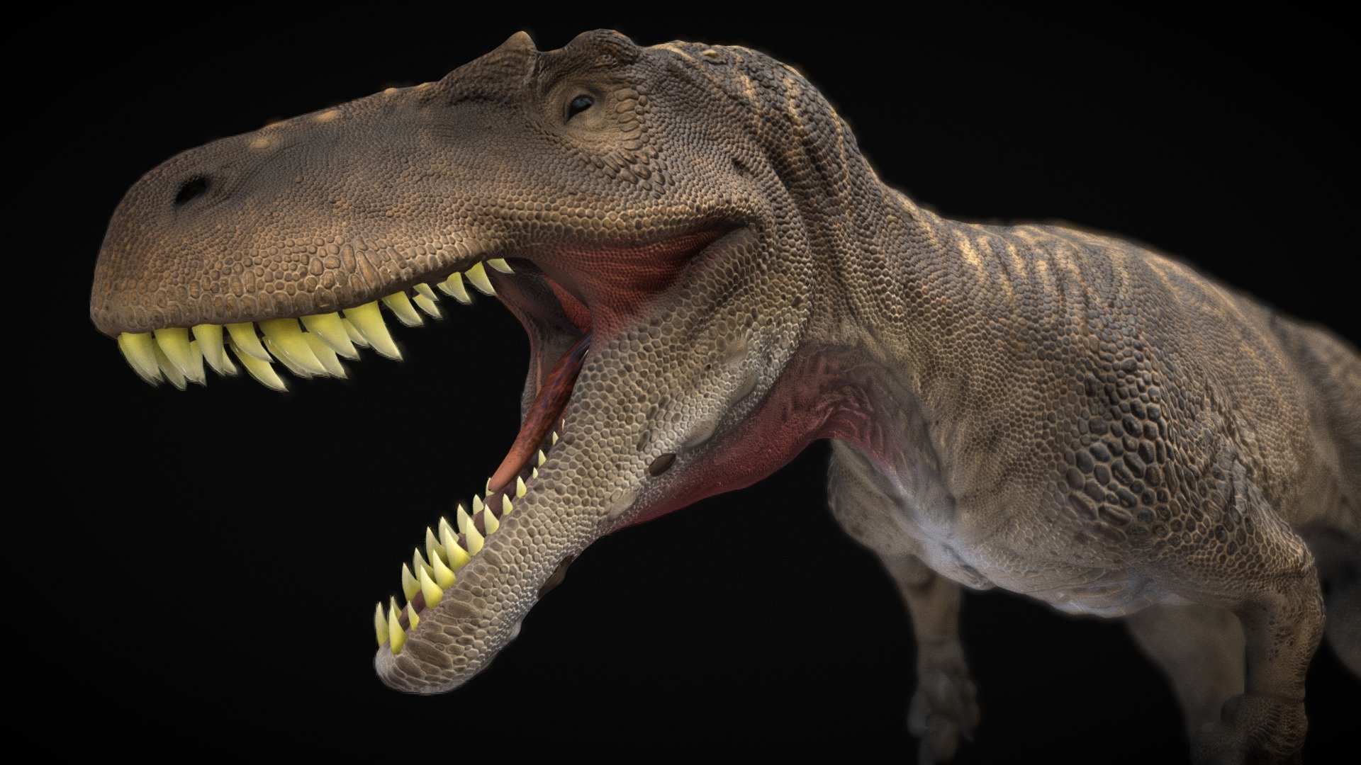 Torvosaurus tanneri - Buy Royalty Free 3D model by robertfabiani ...