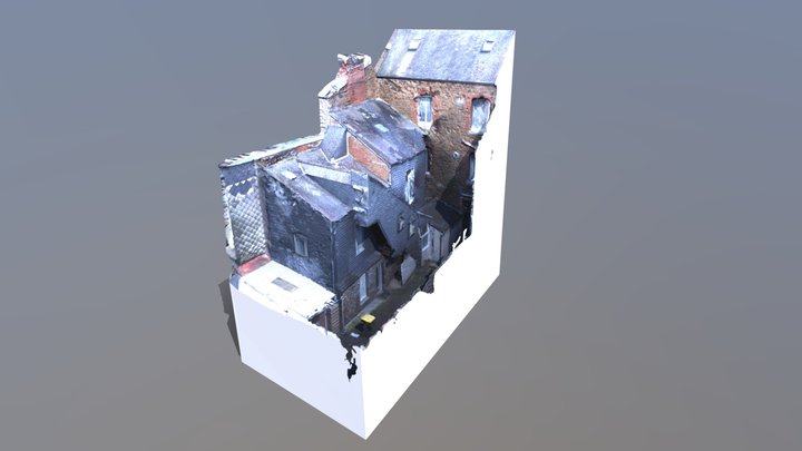 house_rough_scan 3D Model