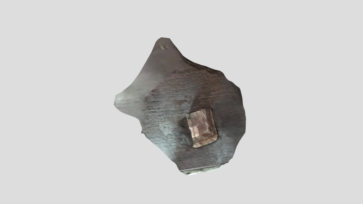 roche1 3D Model