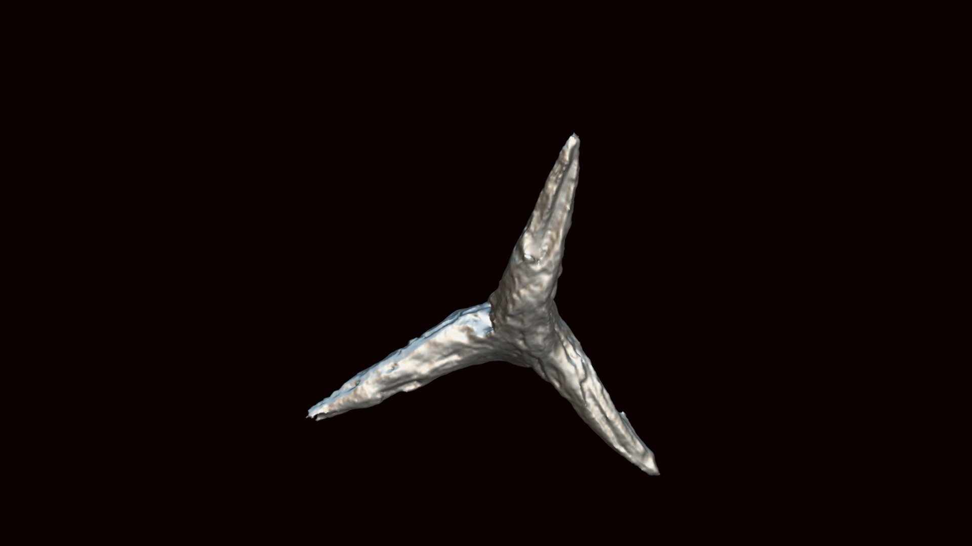 Caltrop (VCU_3D_1620) - Download Free 3D model by Virtual Curation Lab ...