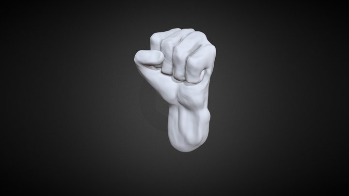 human fist study (WIP) 3D Model