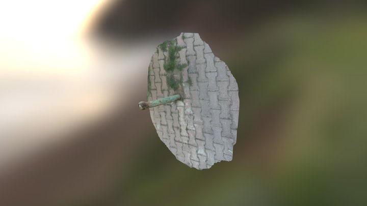 A01 3D Model