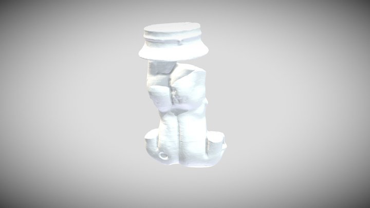 Scan (1) 3D Model