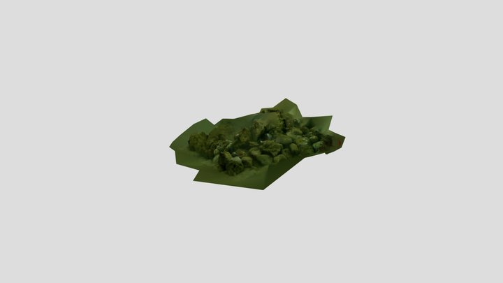 Coral Nursery 8-DEC-23 Koh Lanta 3D Model