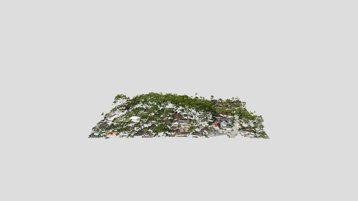 DSM Point Cloud LiDAR 3D Model