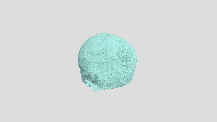 Mongolian embryo-like fossil 3D Model
