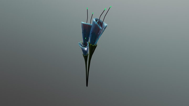 Flowers - Blues 3D Model
