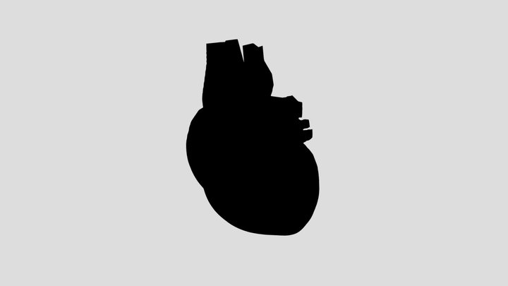 Jantung -- 3D Model