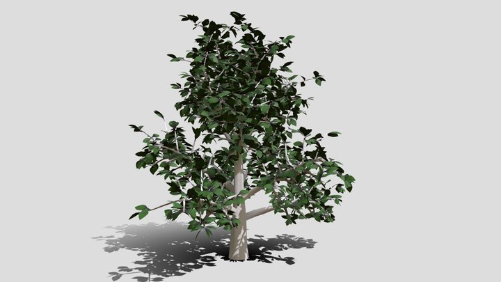 Low Poly Tree 3 3D Model