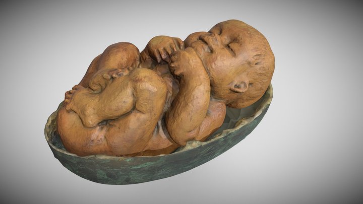 Uovo+Bimbo 3D Model
