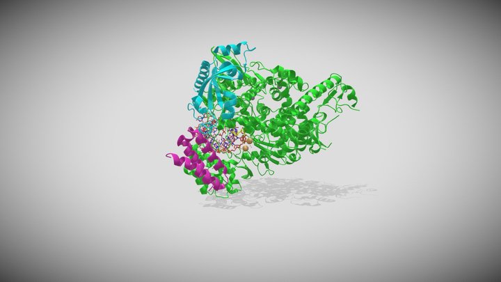RNA-Dependent RNA Polymerase & Remdesivir 3D Model