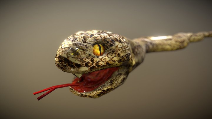 Snake 3D Model