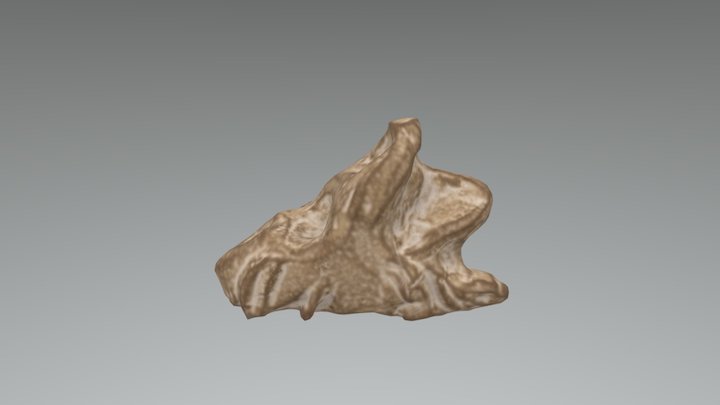 rock 3D Model