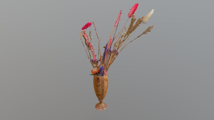 Vase of dried flowers - photogrammetry 3D Model