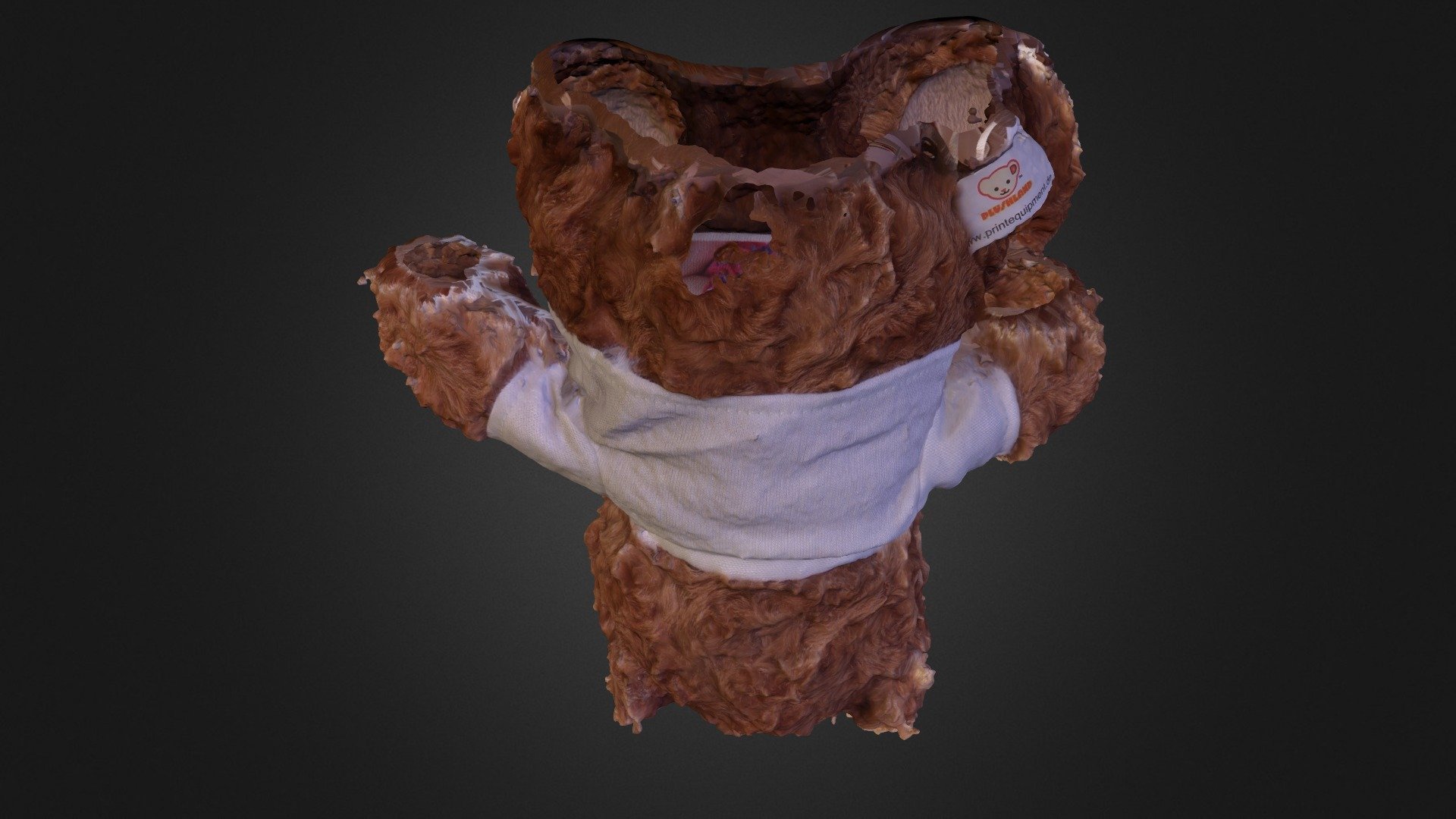 3D Bear