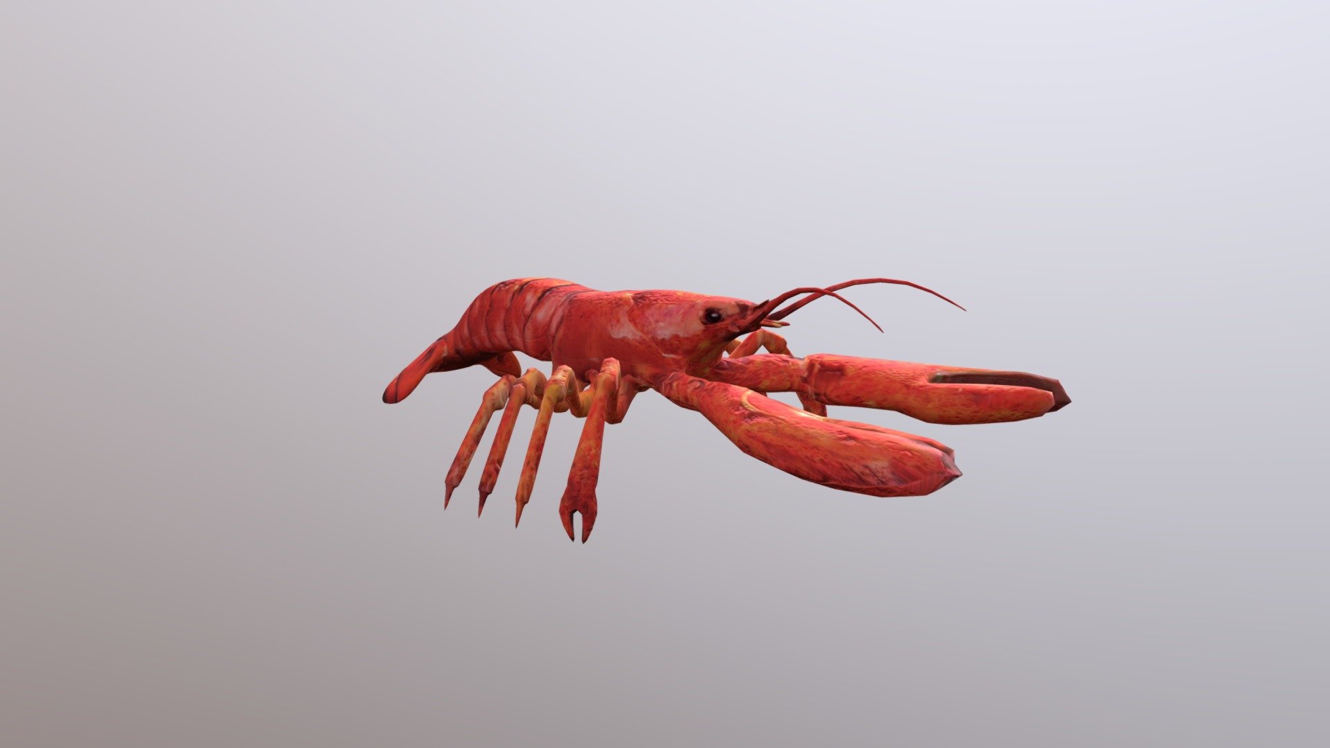 Lobster - Buy Royalty Free 3D model by 3dlowpoly (@3dlowpoly) [9b5a568]