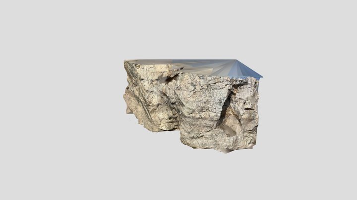 Rock cliff scan 3D Model