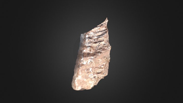 Talud 245_SELVA ALEGRE 3D Model