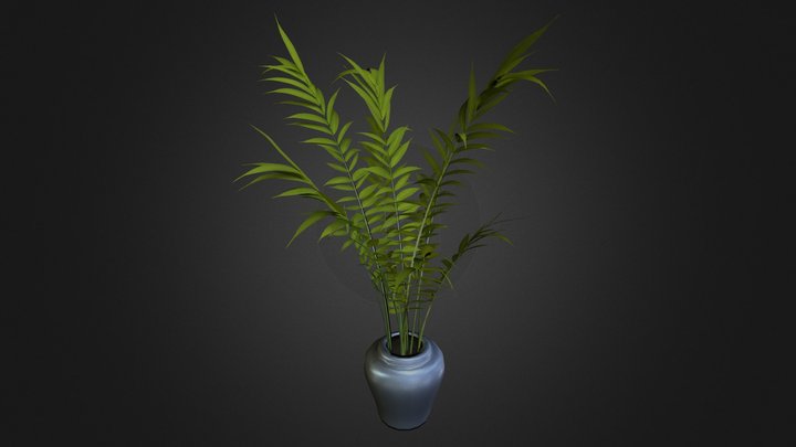Areca Palm 3D Model