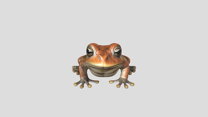 a simple toad. 3D Model