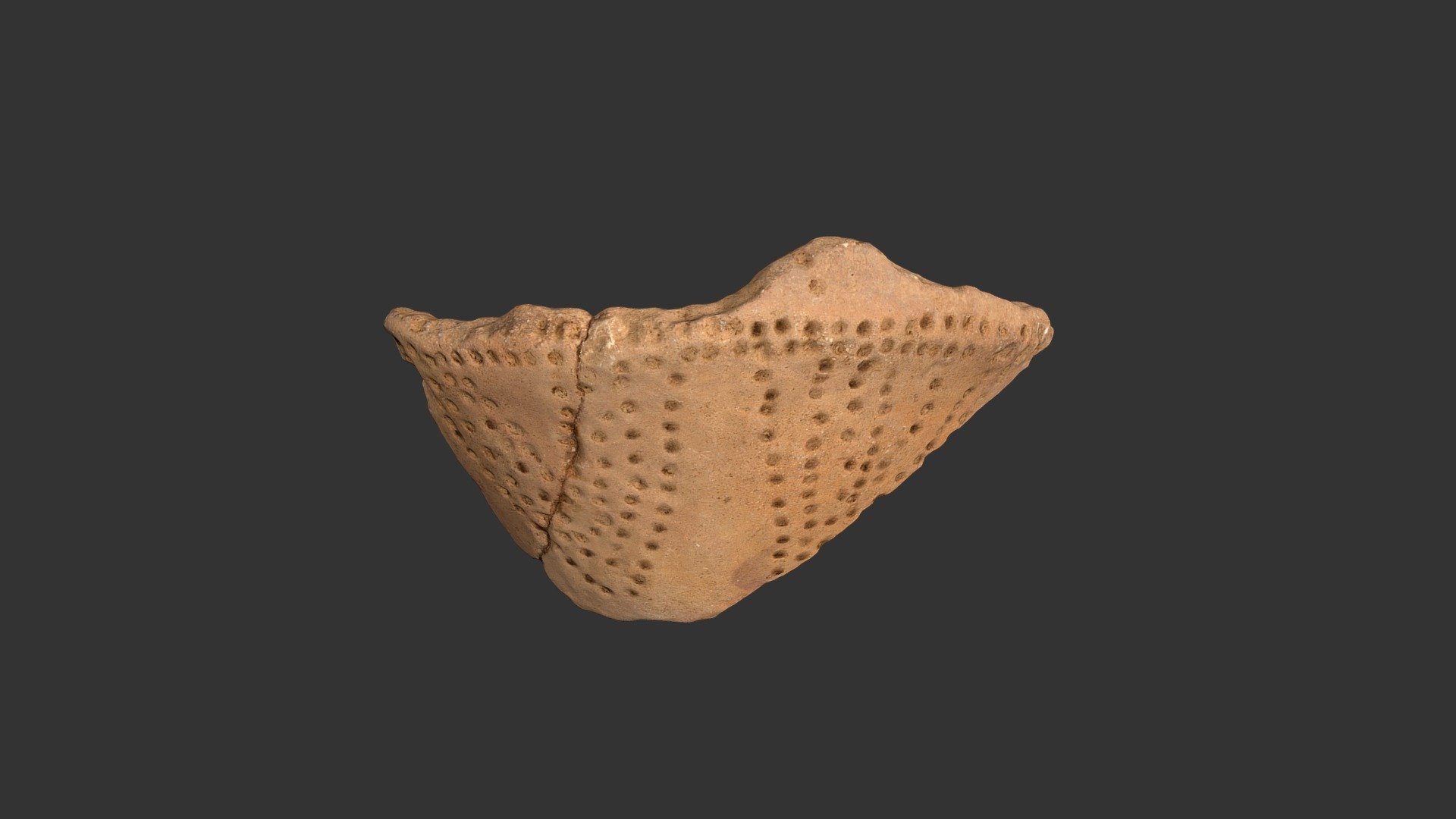 Hillsboro Punctated Bowl Fragment (2464p4333)